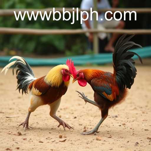 The Evolution and Impact of Sabong Games in Modern Times: An In-Depth Look at BBJL